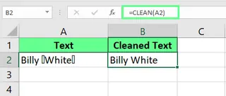 Verwendung der CLEAN()-Funktion in Excel 1