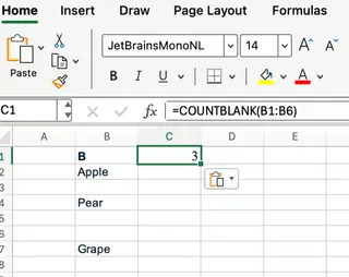 Leere Zellen in einem Bereich mit Excel COUNTBLANK zählen 1
