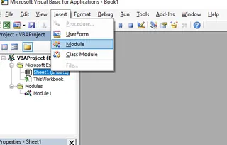 new module in the VBA editor 4