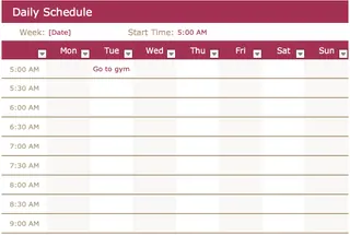 A manually formatted daily schedule template in Excel 2