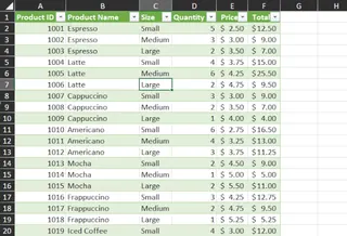 Bereinigte Excel-Tabelle, bereit für die Analyse 2