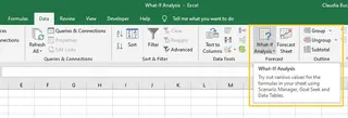 Excel 模擬分析工具