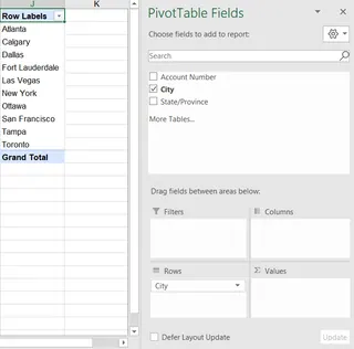 A PivotTable Fields pane showing the 