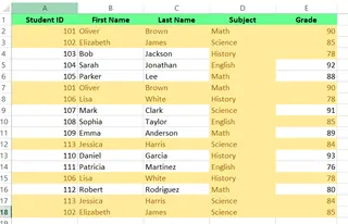 資料中突顯的重複項 3