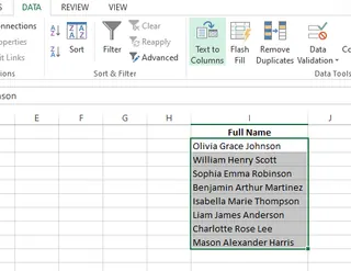Selecting the Excel Text to Columns option 1
