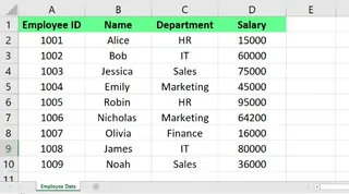 Sheet 1 named as Employee Data in Excel 1