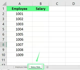 Sheet 2 named as Salary Data in Excel 2