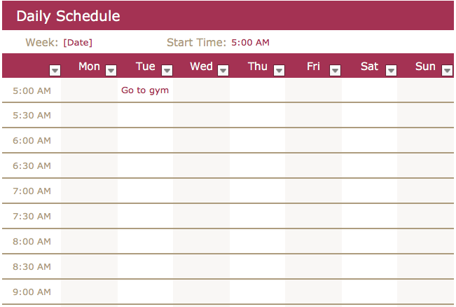 Um modelo de cronograma diário formatado manualmente no Excel 2