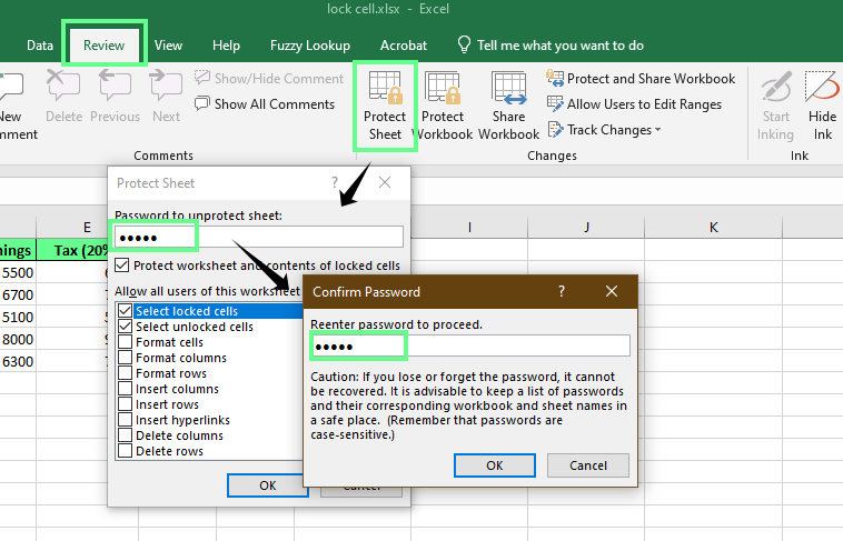 Protect the sheet with a password in excel 2