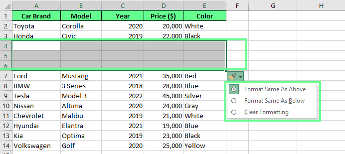 Nouvelles lignes ajoutées en utilisant l'option d'insertion dans Excel. 2